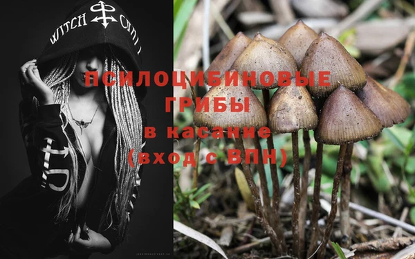 прущая мука Алексеевка