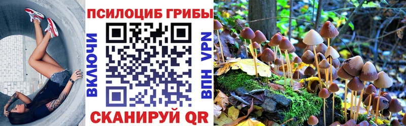 Псилоцибиновые грибы Magic Shrooms  где найти наркотики  ОМГ ОМГ зеркало  Минусинск 
